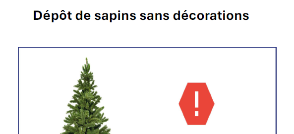 collecte sapins