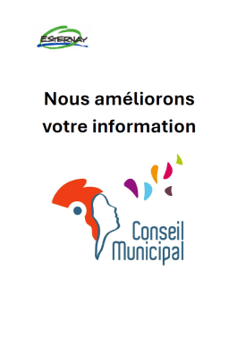 Conseil Municipal